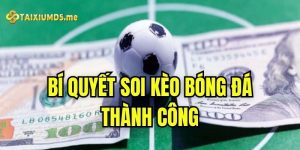 Bí quyết soi kèo bóng đá thành công cho người mới bắt đầu