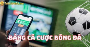 Bảng cá cược bóng đá và những lợi ích tuyệt vời nó mang lại