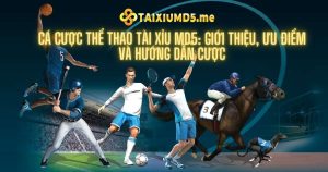 Cá cược thể thao Tài Xỉu MD5 - Hướng dẫn cược cho tân thủ