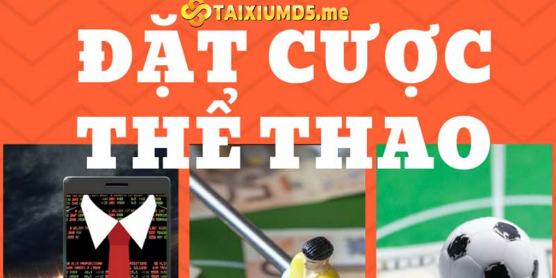 Cược thủ yêu thích đặt cược thể thao tại Tài Xỉu MD5 