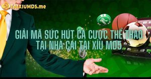 Giải mã sức hút cá cược thể thao tại nhà cái Tài Xỉu MD5