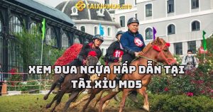 Xem Đua Ngựa Hấp Dẫn tại Tài Xỉu MD5: Cơ Hội Thưởng Lớn