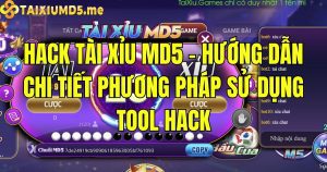 Hack tài xỉu MD5 - Hướng dẫn chi tiết phương pháp sử dụng tool hack