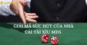 Giải mã sức hút của nhà cái tài xỉu MD5 