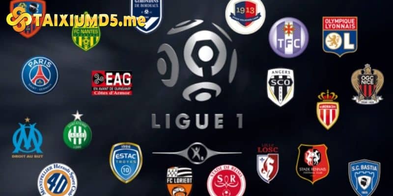 Ligue 1, giải đấu danh giá bậc nhất xứ lục lăng 