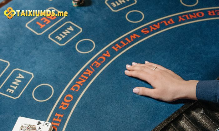 Lựa chọn cửa cược thông minh để tăng cơ hội chiến thắng