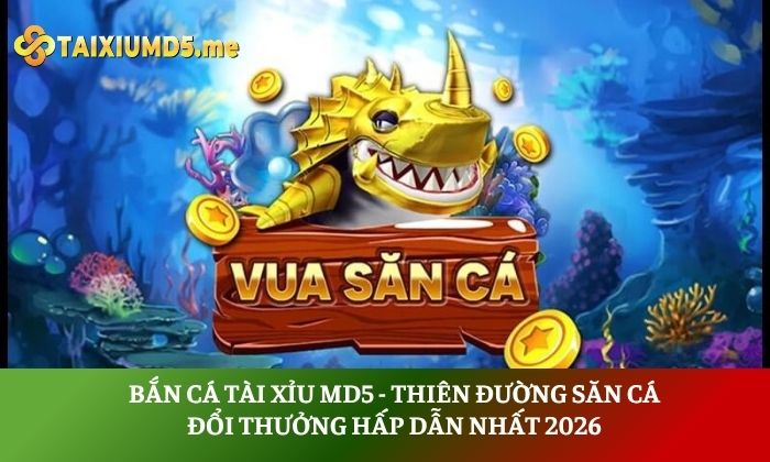 bắn cá