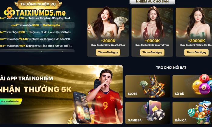 Giao diện điền thông tin chính chủ khi thực hiện lệnh rút tiền tài xỉu MD5