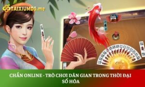 Chắn