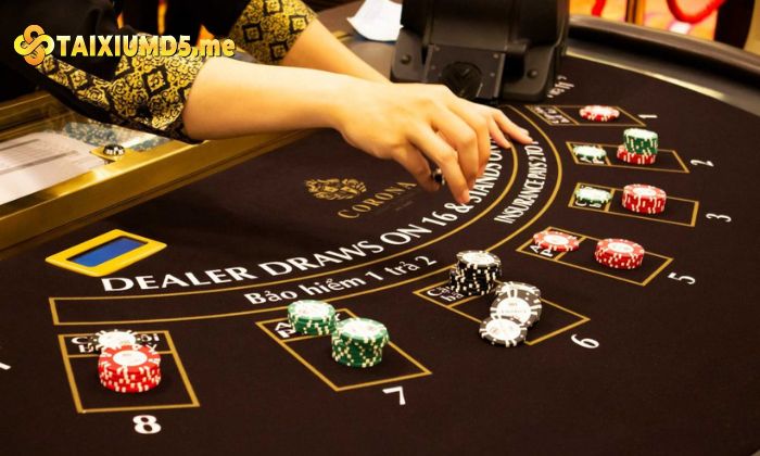 Bật mí kinh nghiệm bỏ túi khi chơi Xì Dách